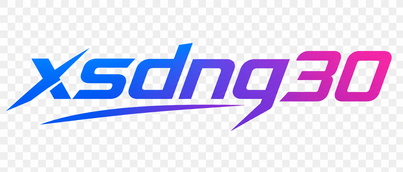 xsdng30 Logo
